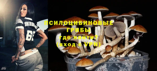 дмт Алзамай