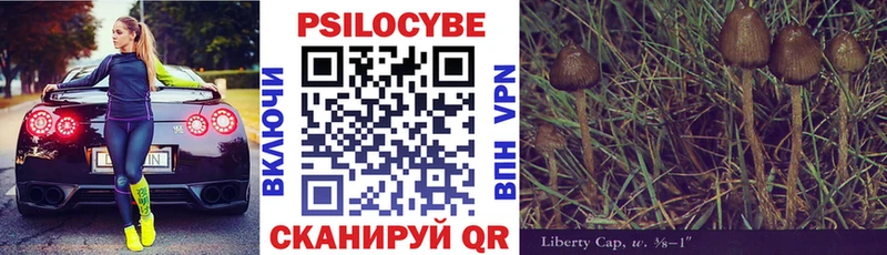 цена   ссылка на мегу   Псилоцибиновые грибы мухоморы  Кумертау 